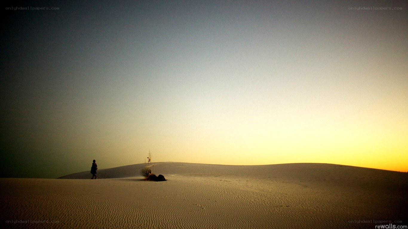 Desert silhouette at sunset