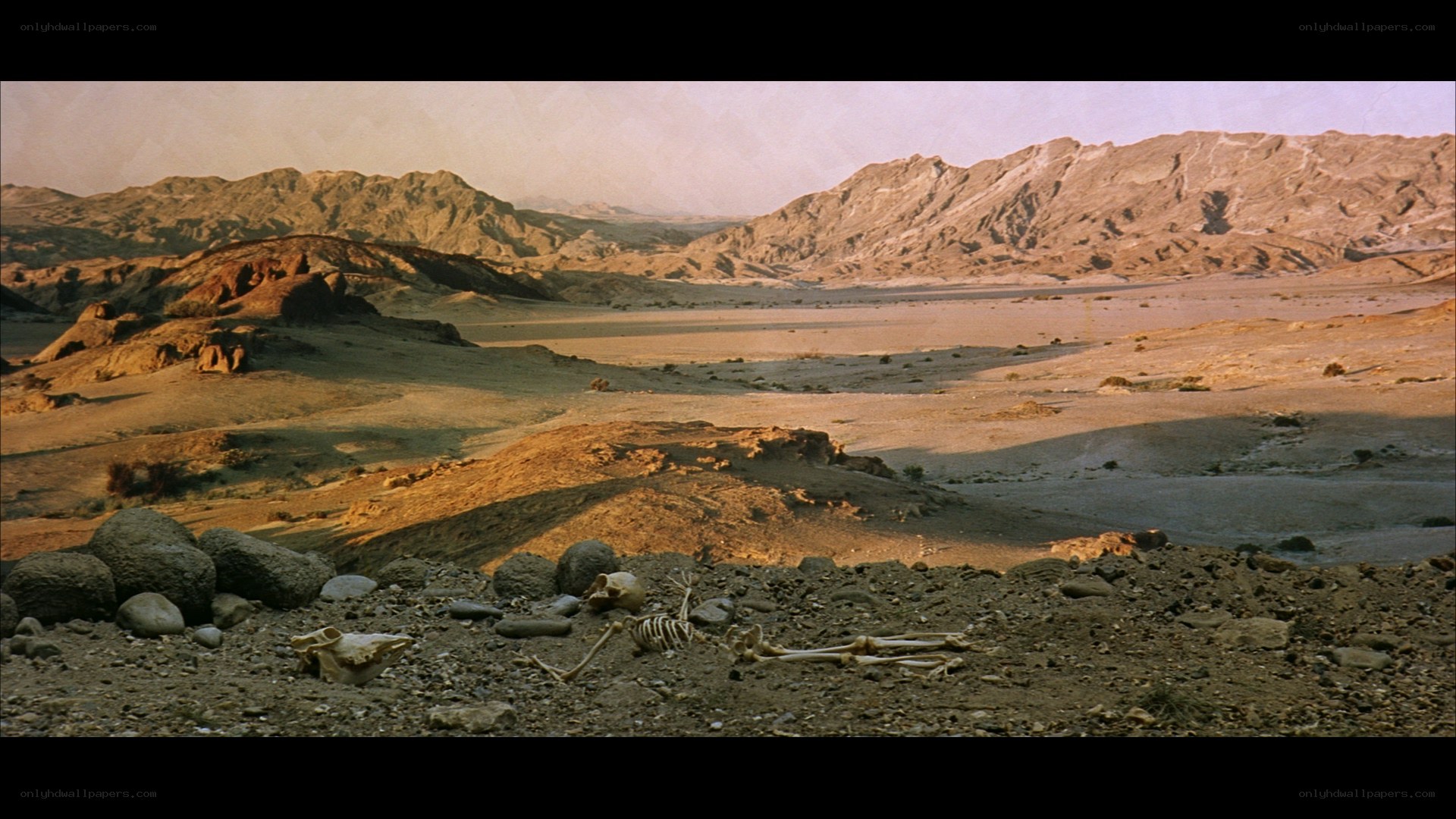 Desert skeleton landscape