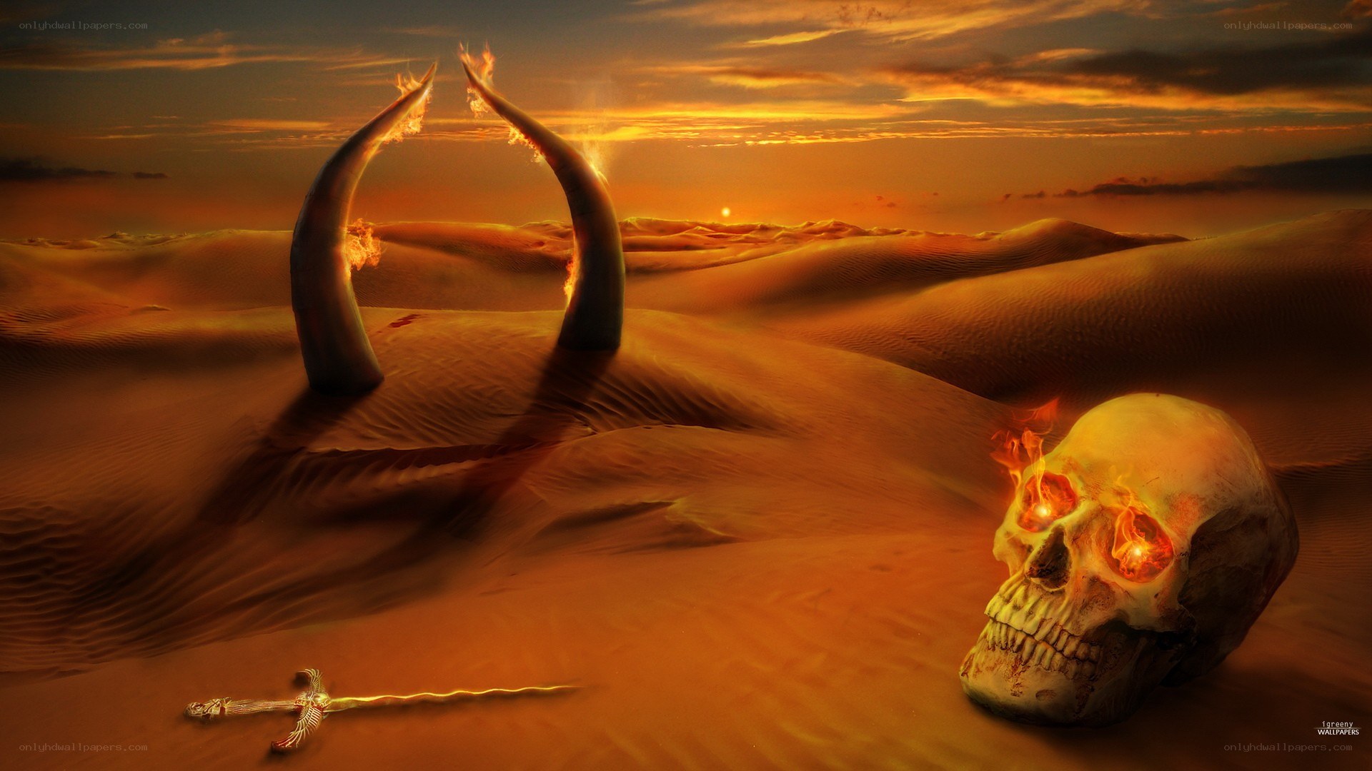 Desert skull and horns