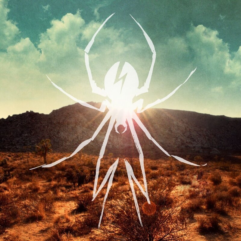 Desert spider silhouette