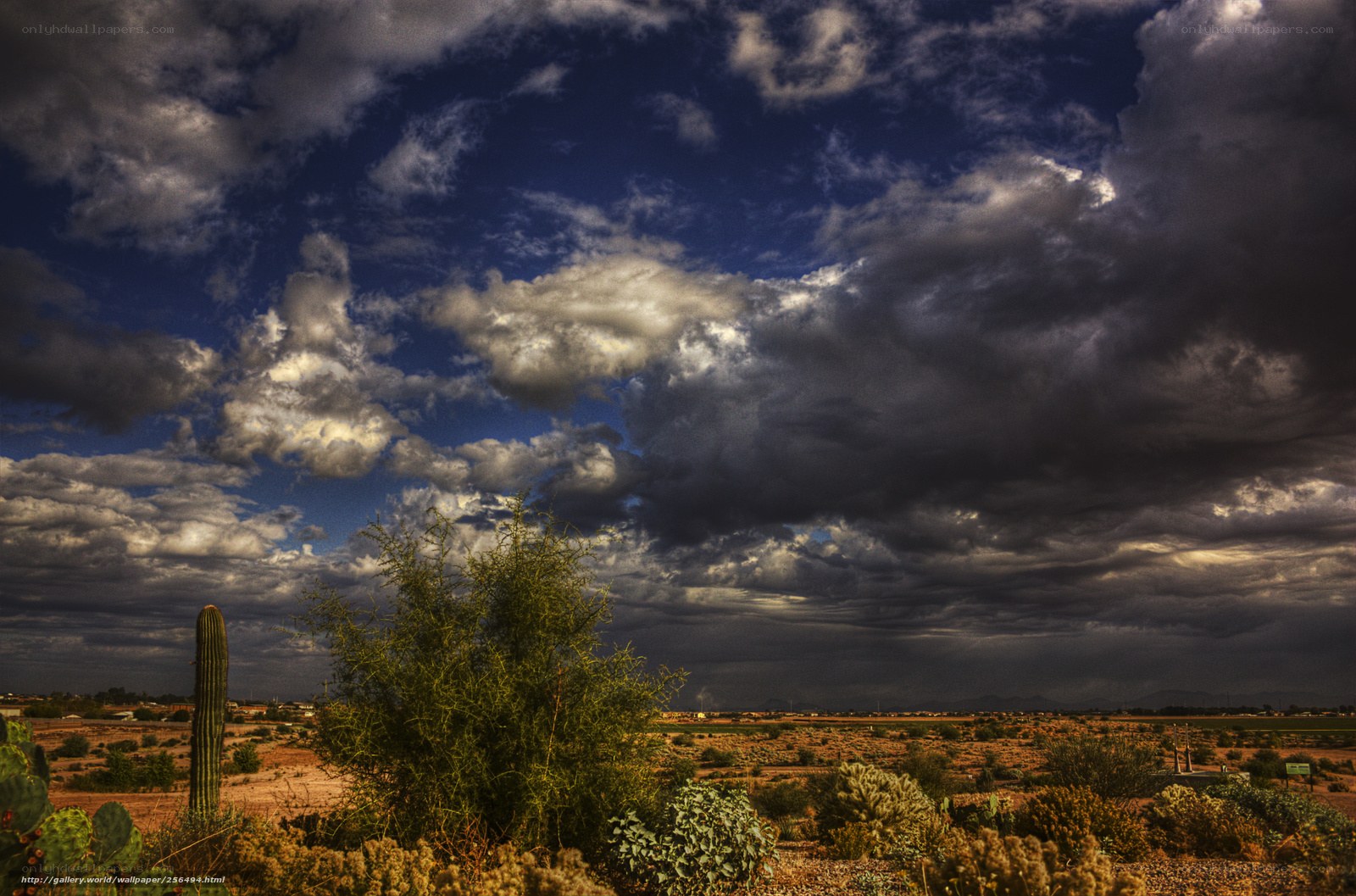 Desert storm clouds