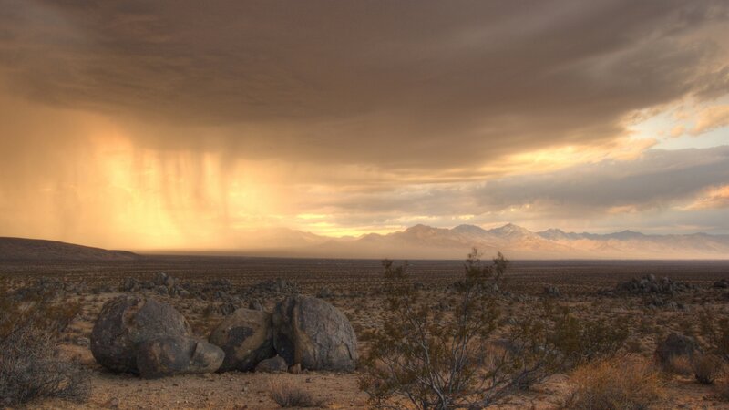Desert Storm with Rain — Brown