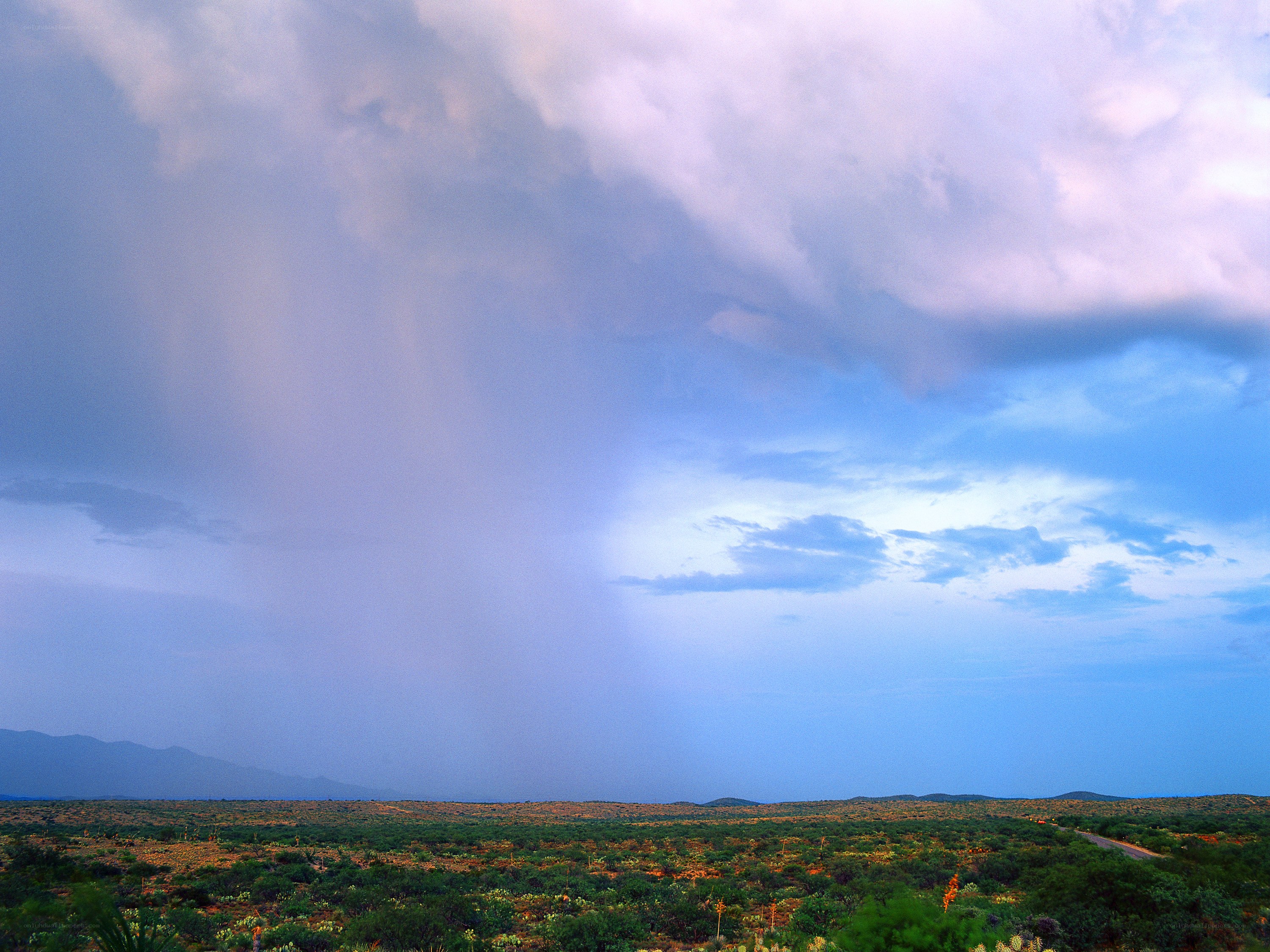 Desert storm with rain shaft