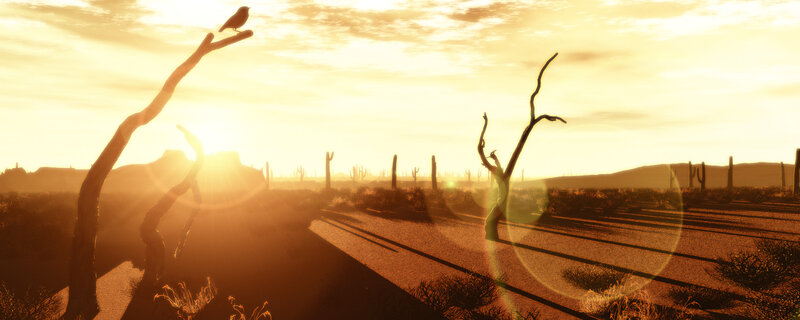 Desert sunset with bird