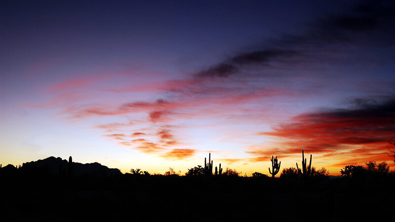 Desert sunset with cacti