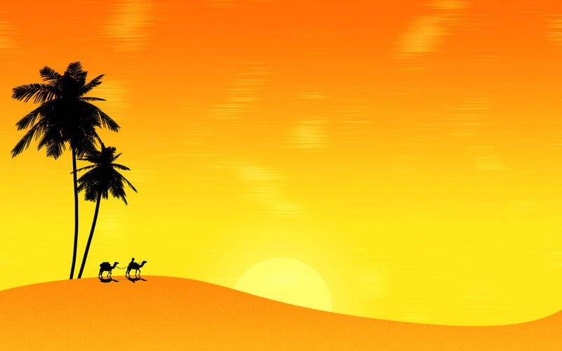 Desert sunset with camels