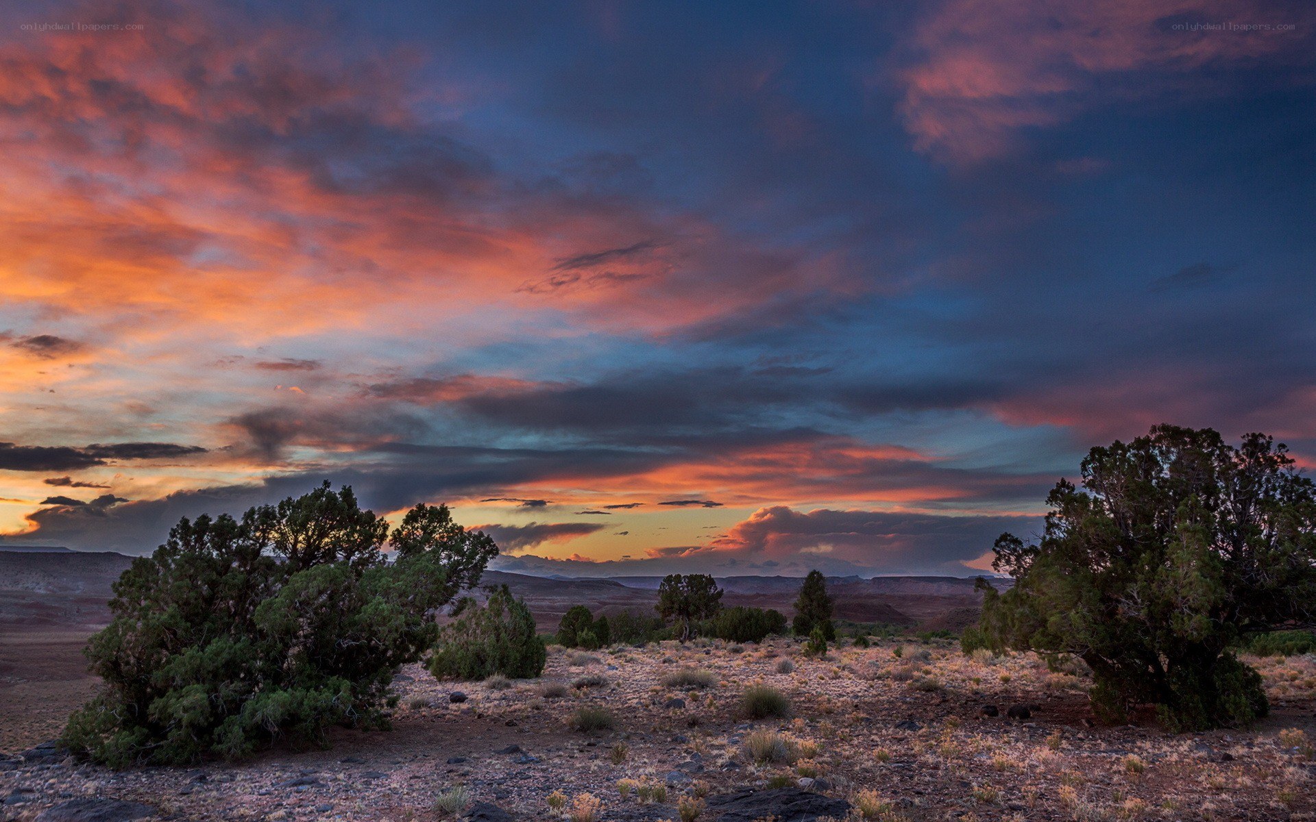 Desert sunset with colorful sky