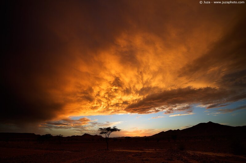 Desert sunset with dramatic clouds