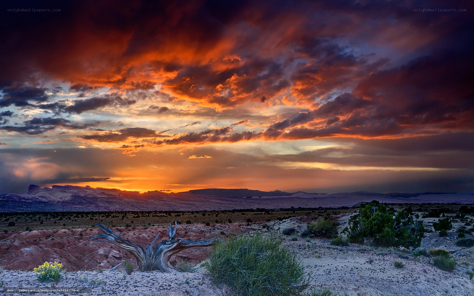 Desert sunset with dramatic sky