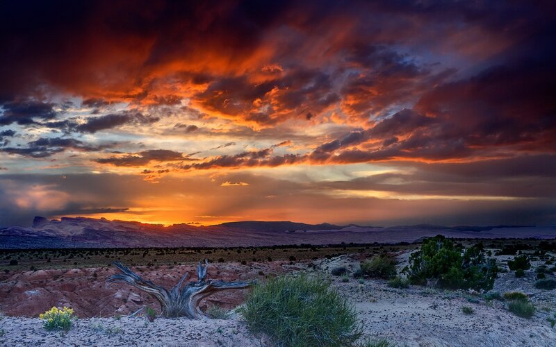 Desert sunset with dramatic sky