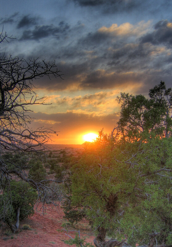 Desert sunset with juniper trees