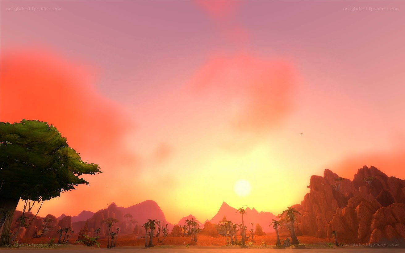 Desert sunset with palm trees