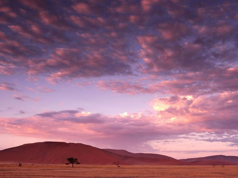 Desert sunset with pink clouds