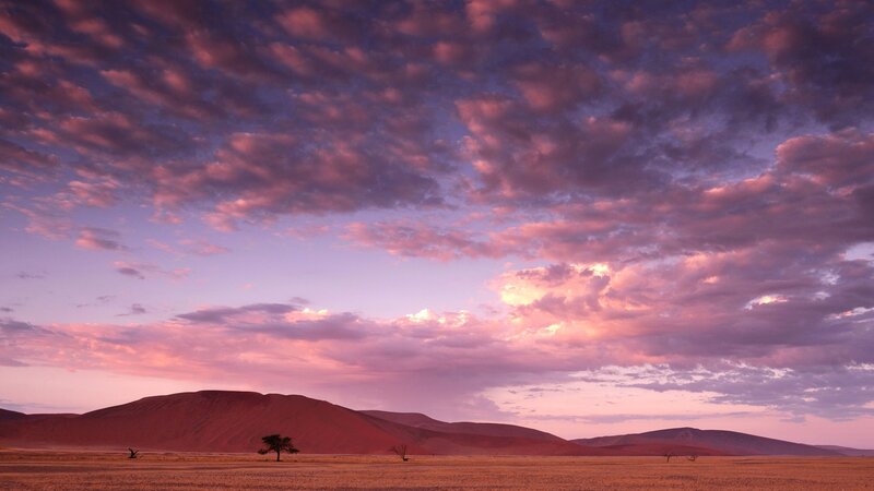 Desert sunset with pink clouds