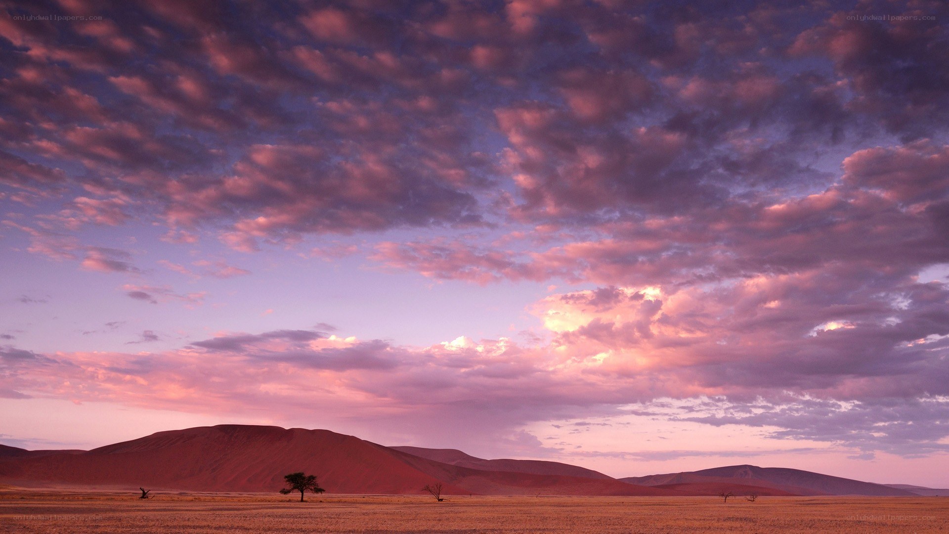 Desert sunset with pink clouds