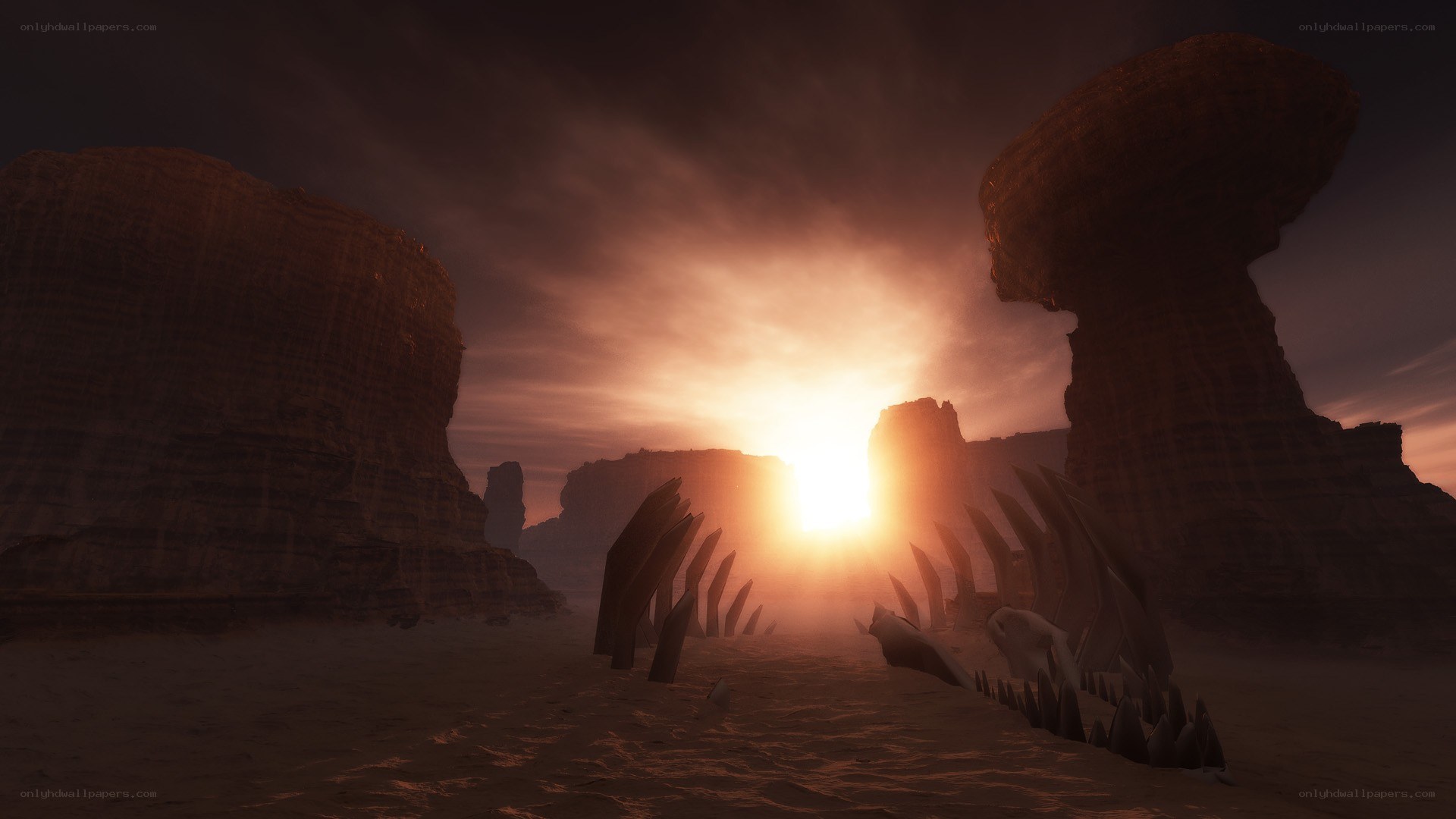 Desert sunset with rock formations