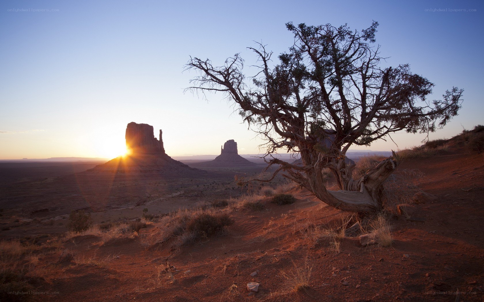 Desert sunset with rock formations