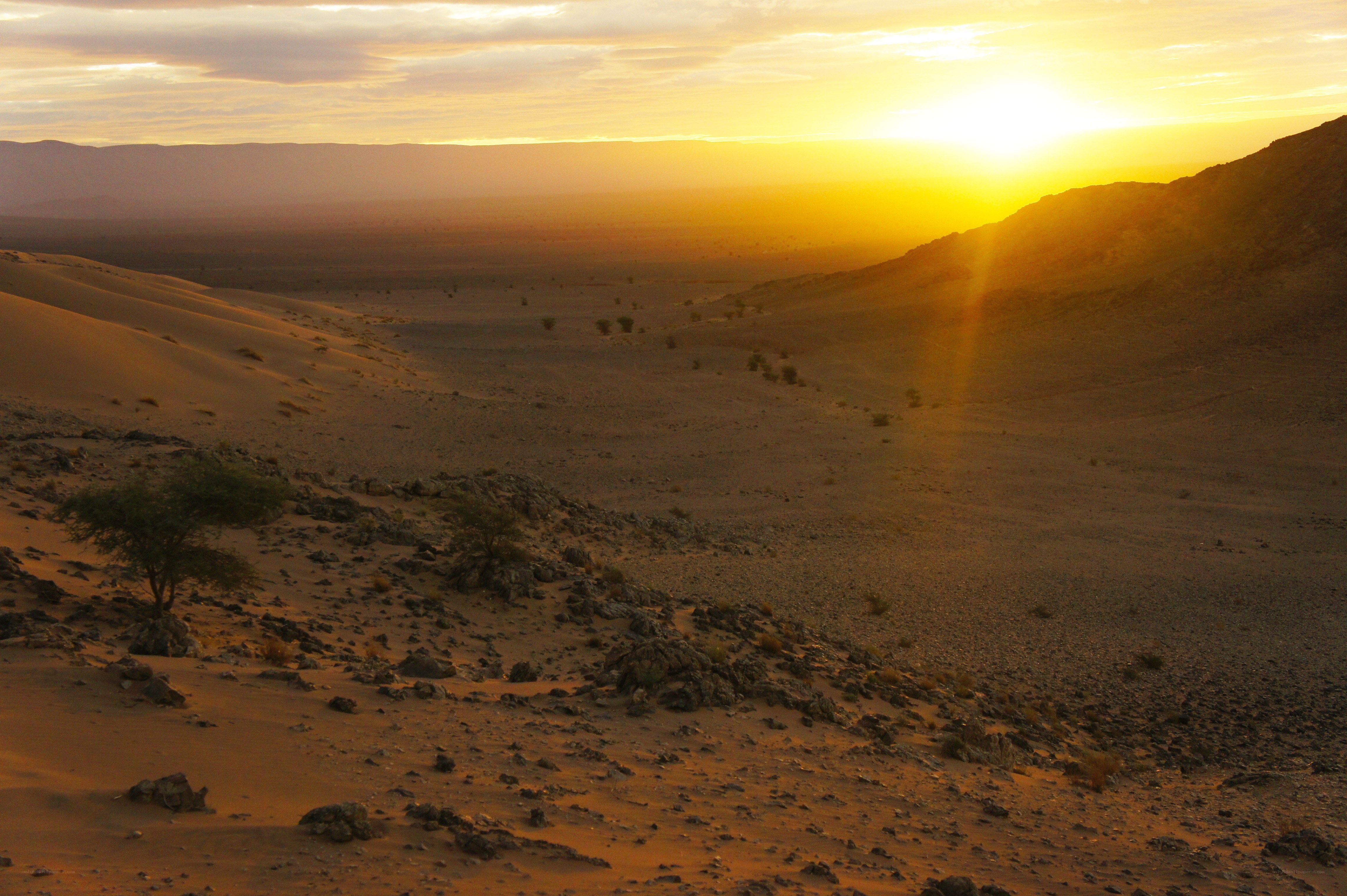 Desert sunset with sand dunes