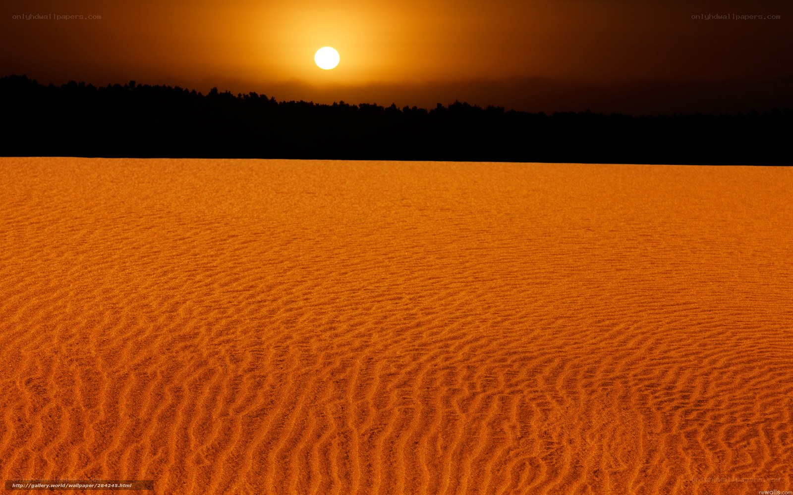 Desert sunset with sand dunes