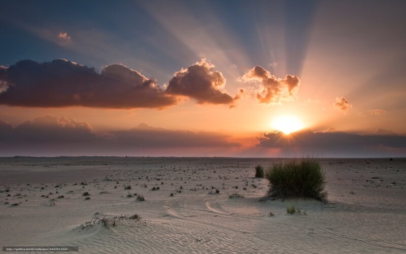 Desert sunset with sun rays