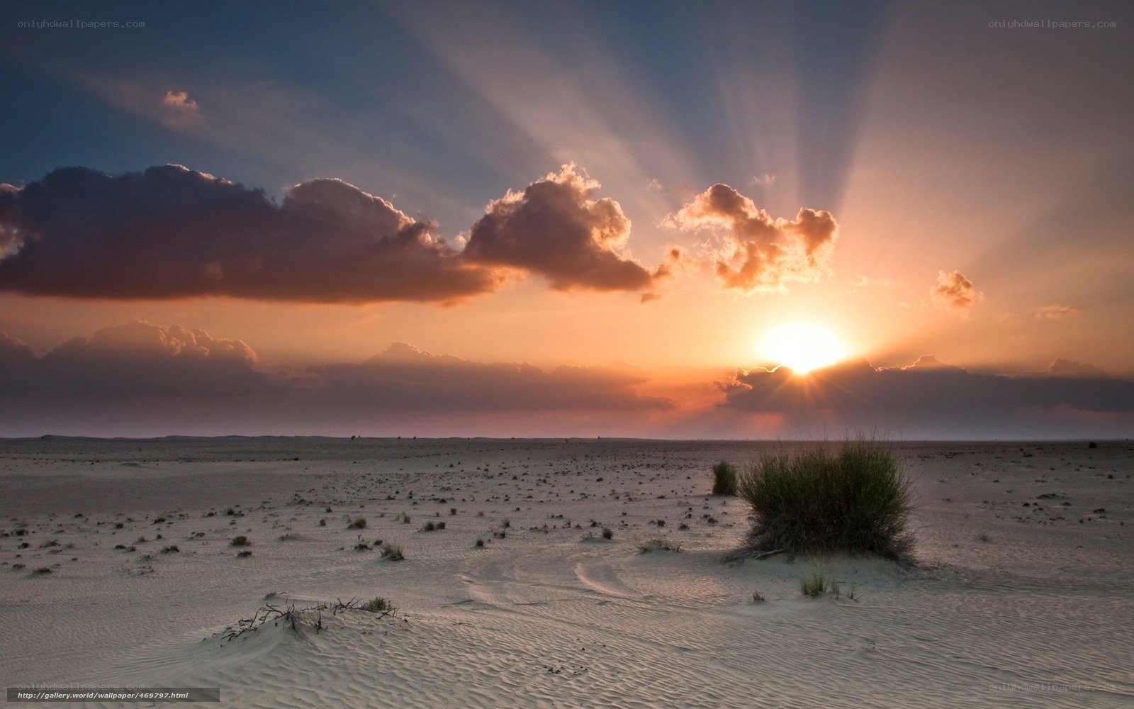 Desert sunset with sun rays