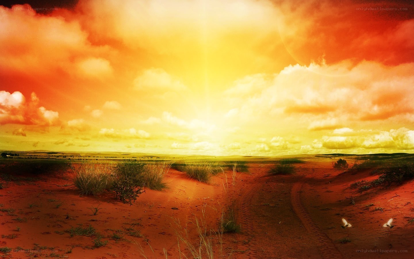 Desert sunset with tire tracks