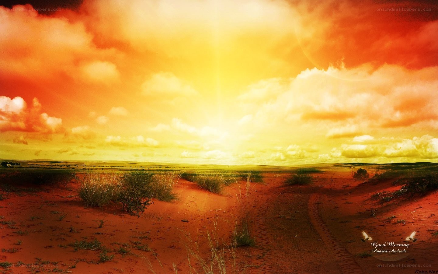 Desert sunset with tire tracks