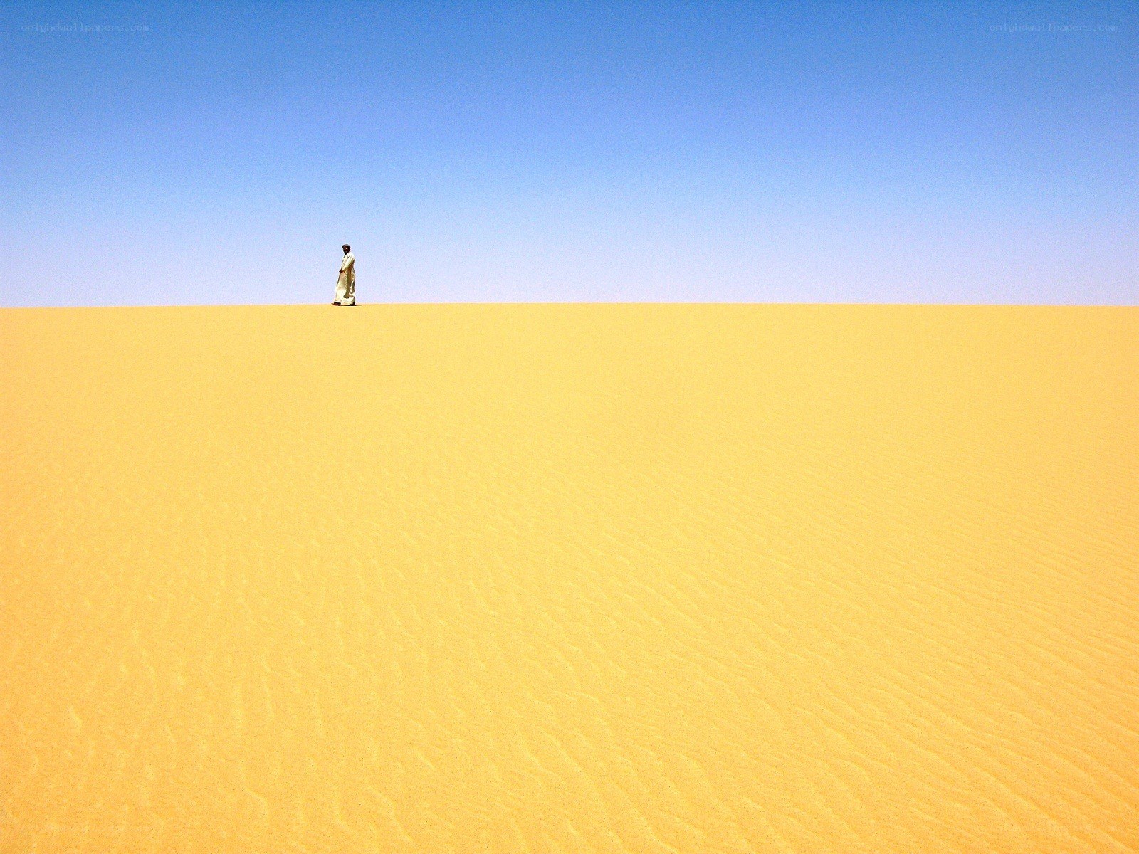 Desert traveler on dunes