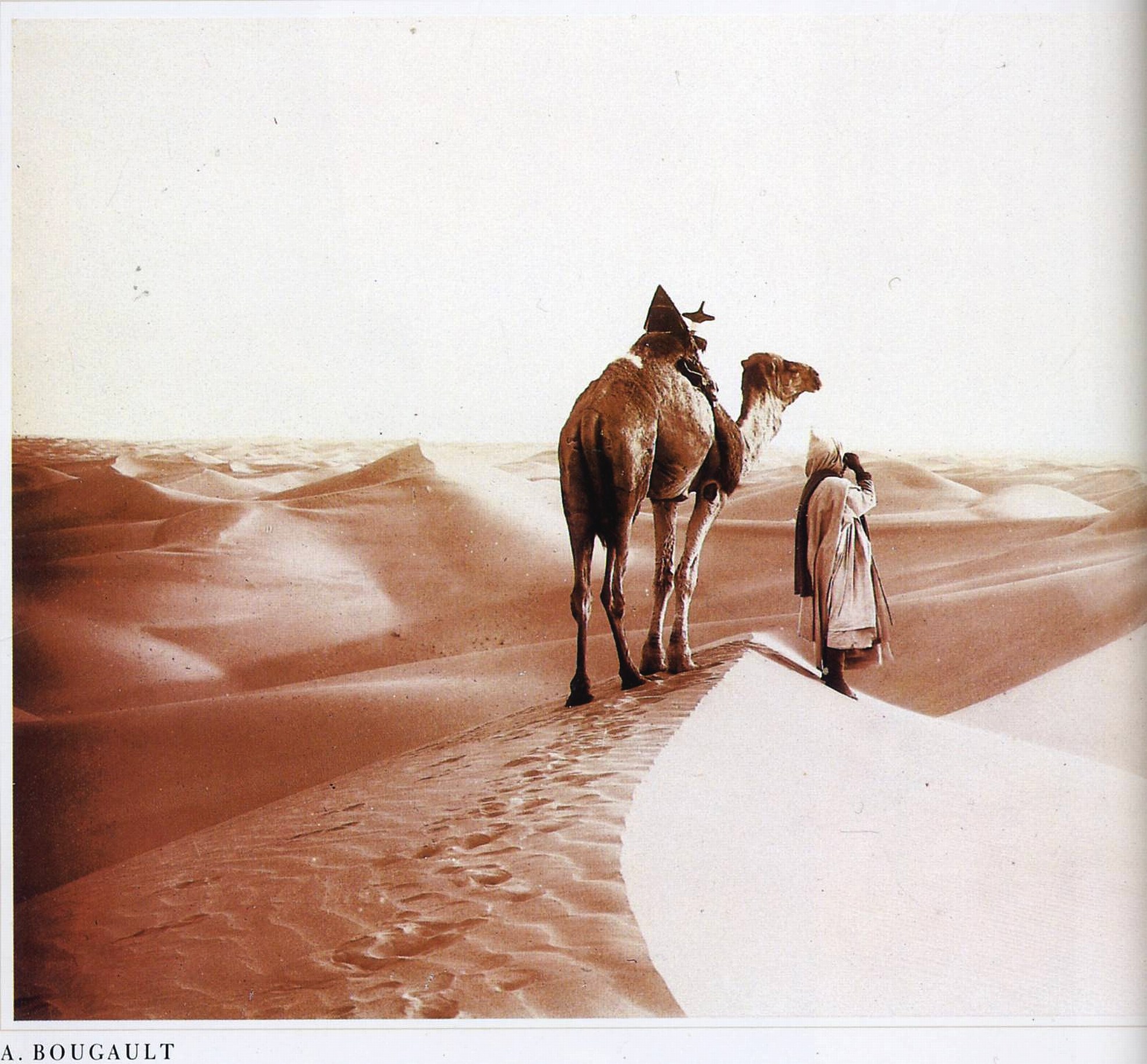 Desert traveler with camel