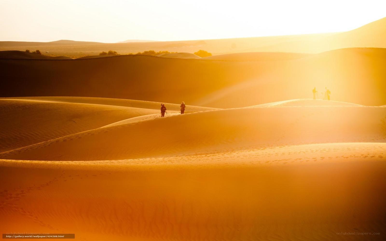 Desert travelers at sunset