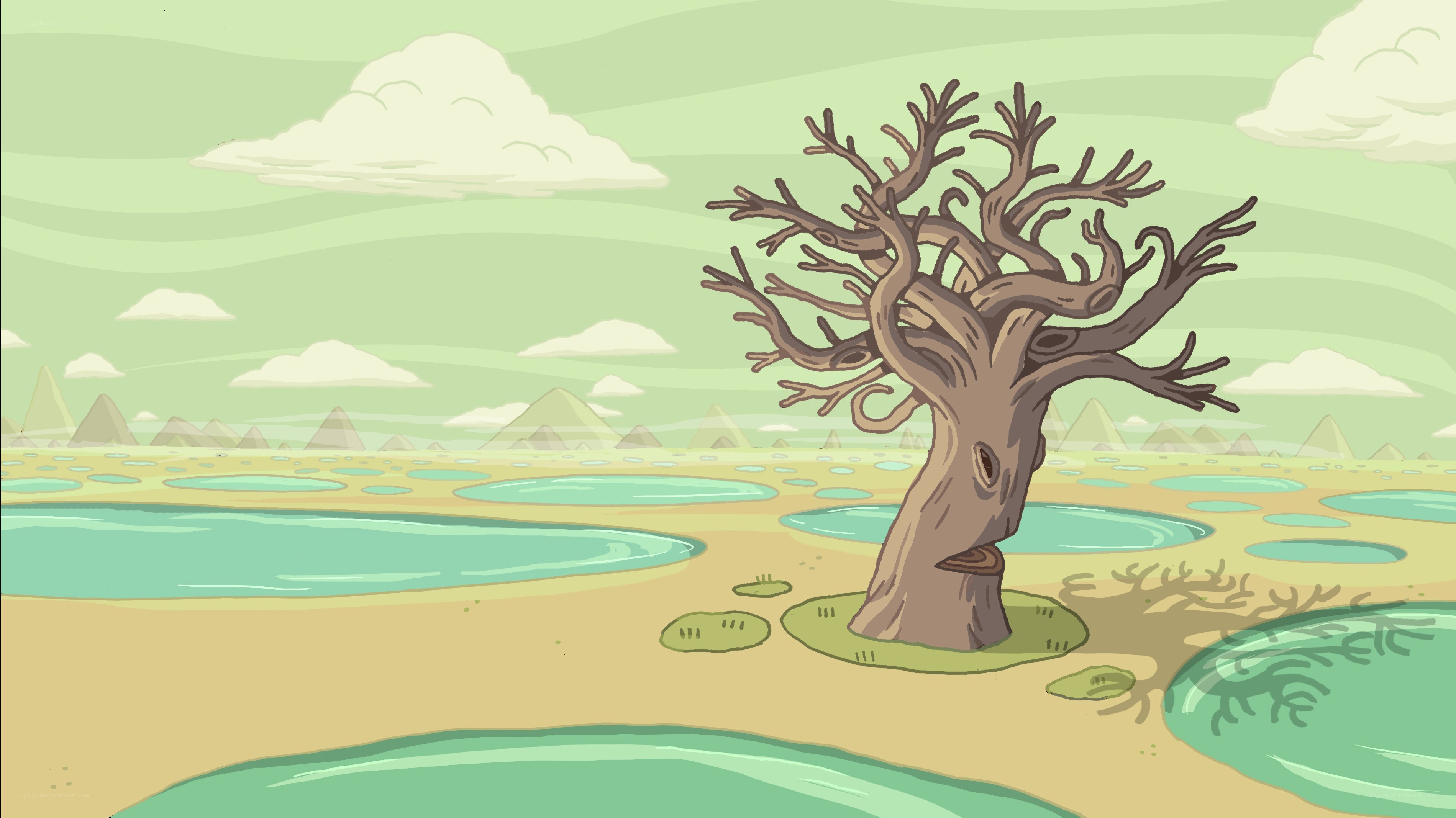 Desert tree with water pools