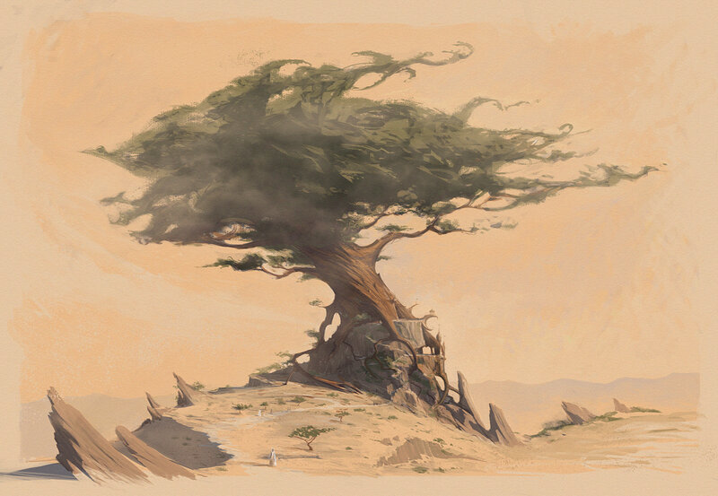Desert tree with wind-swept canopy