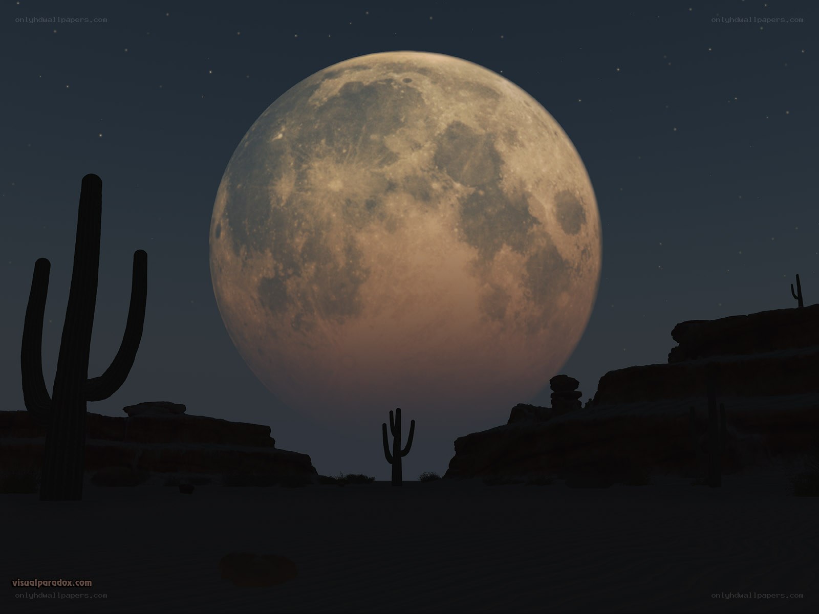 Desert under a full moon