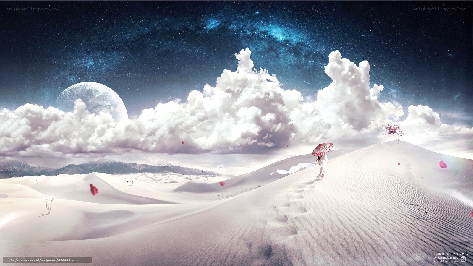Desert under a starry sky