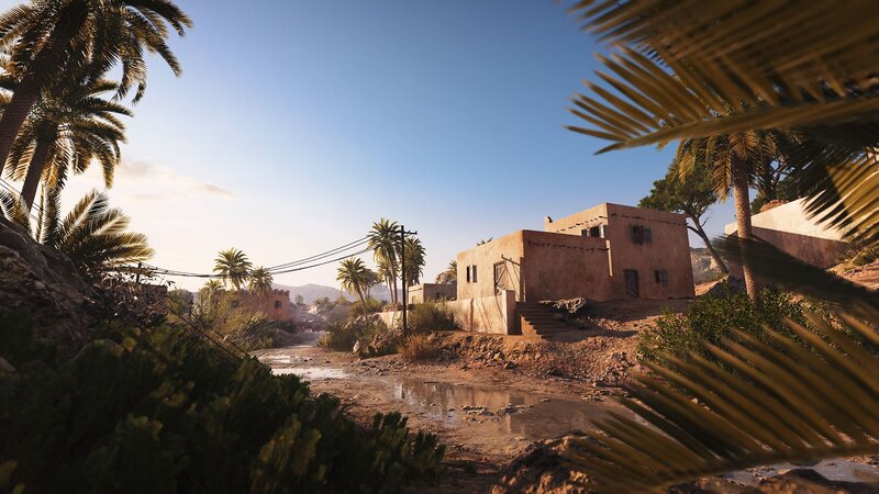 Desert Village with Palm Trees
