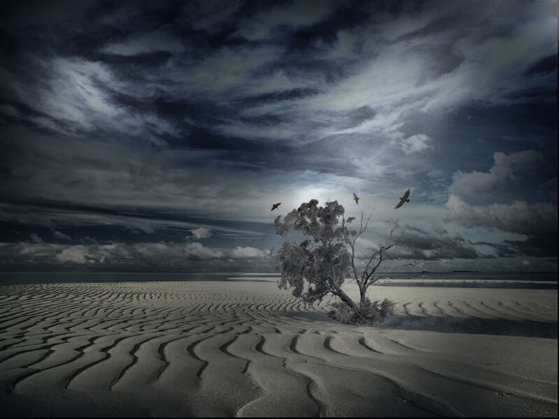 Deserted beach with lone tree