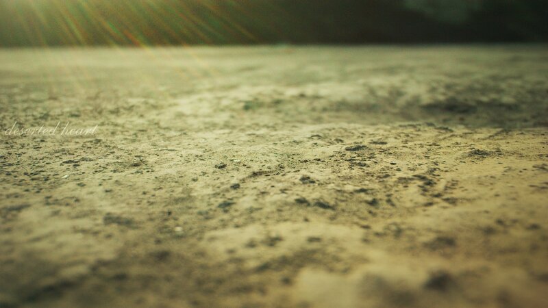 deserted ground with sun rays