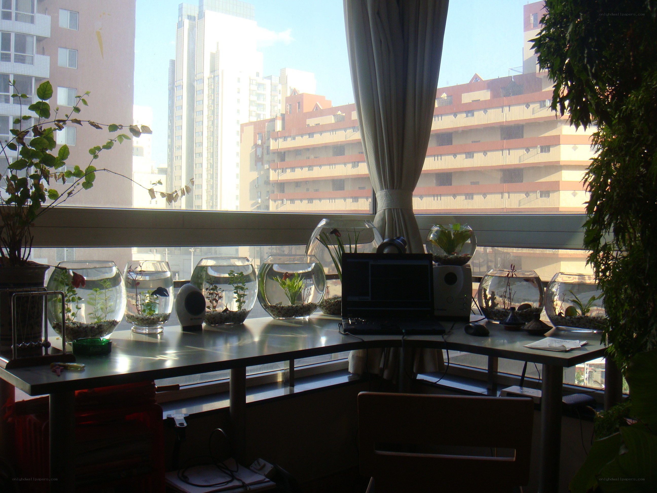 desk with fish tanks and city view