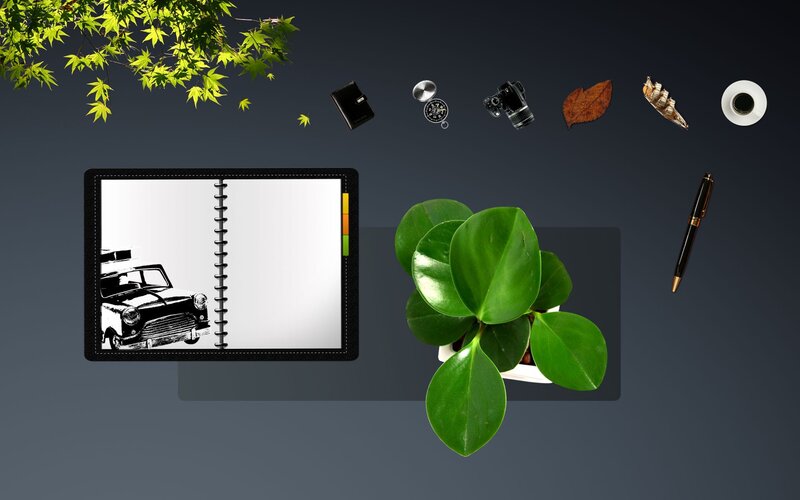 desk with notebook and plant