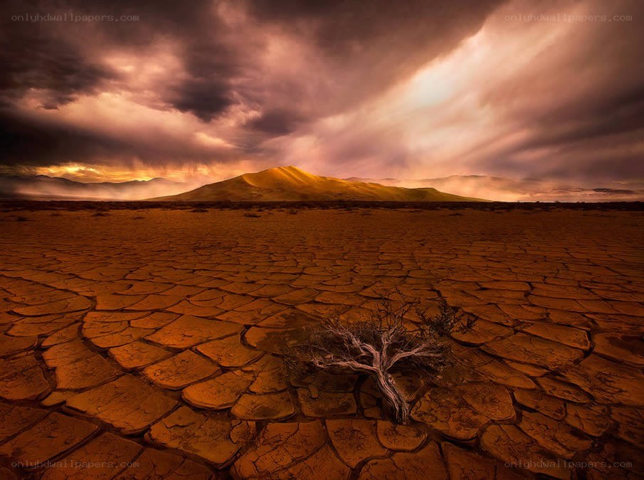Desolate cracked earth landscape