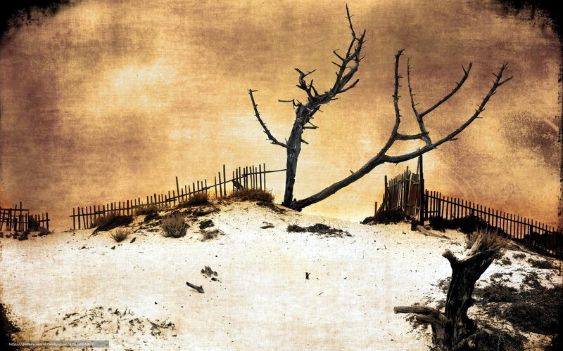 Desolate Dune Landscape