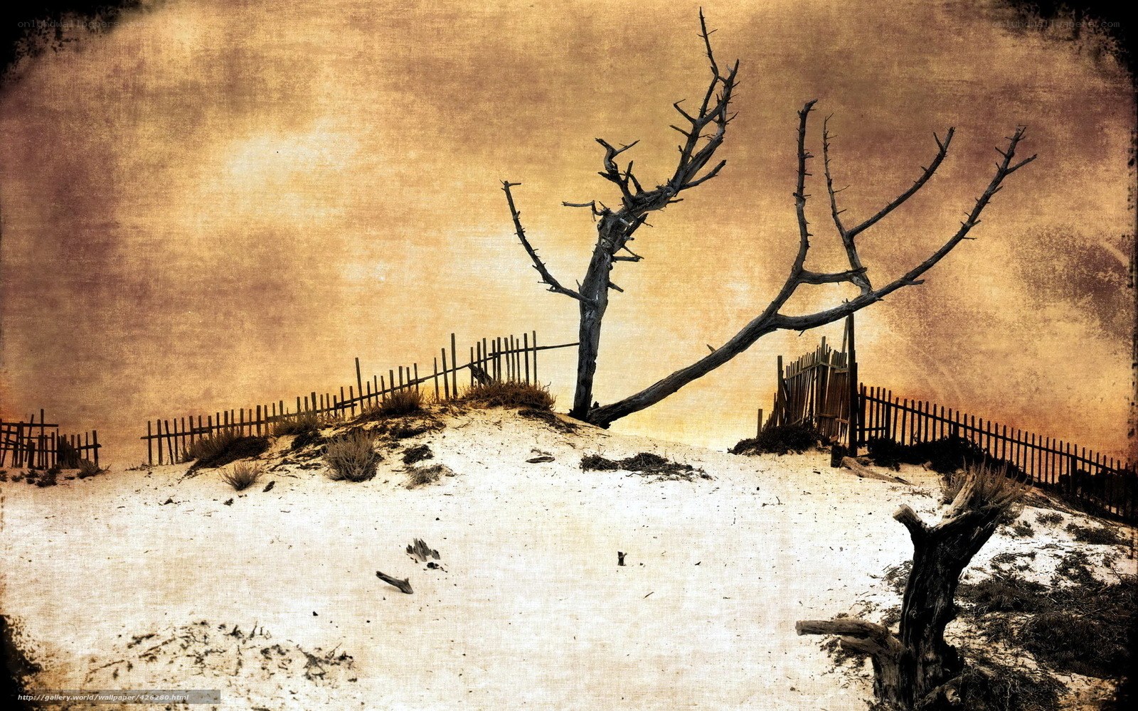 Desolate Dune Landscape