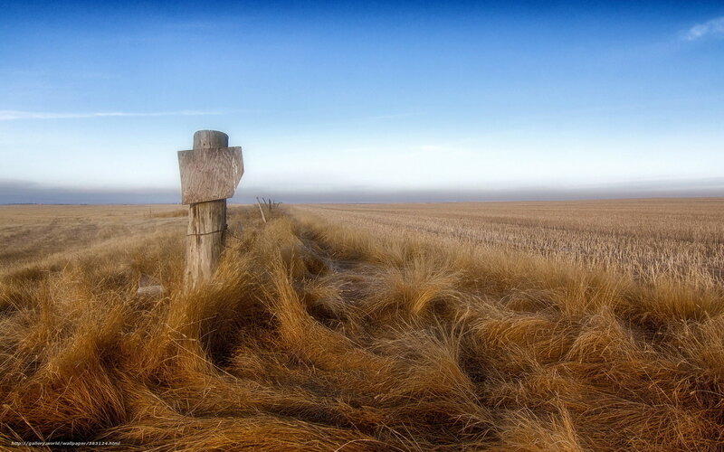 Desolate field with wooden post