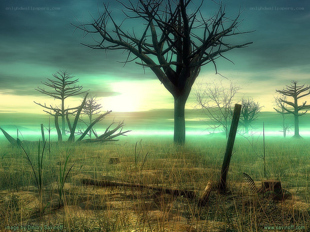 Desolate landscape at sunset
