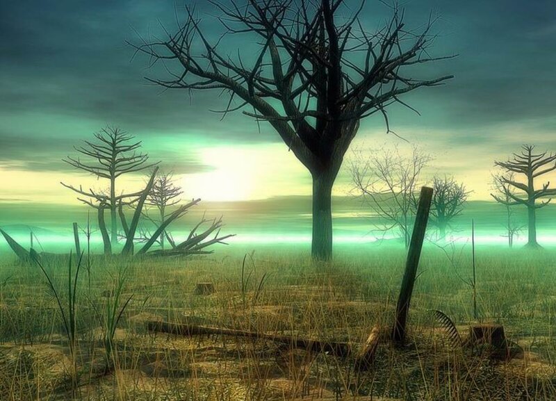 Desolate landscape at sunset