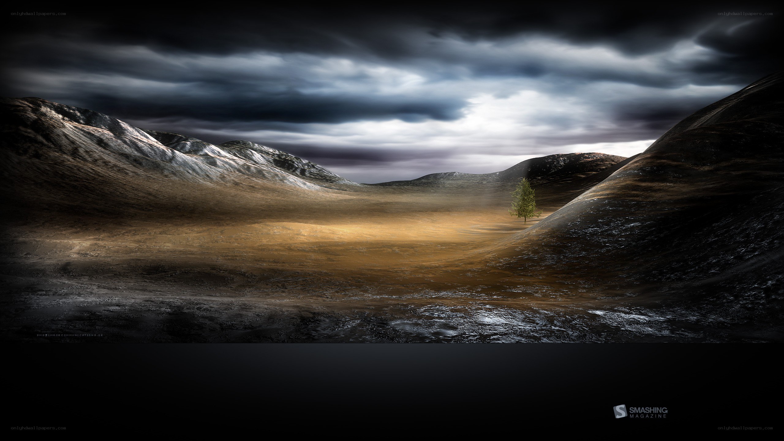 Desolate landscape with lone tree