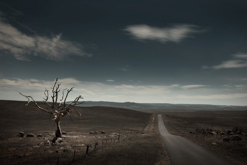 Desolate road with dead tree
