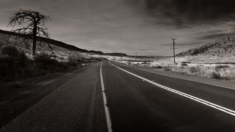 Desolate road with lone tree