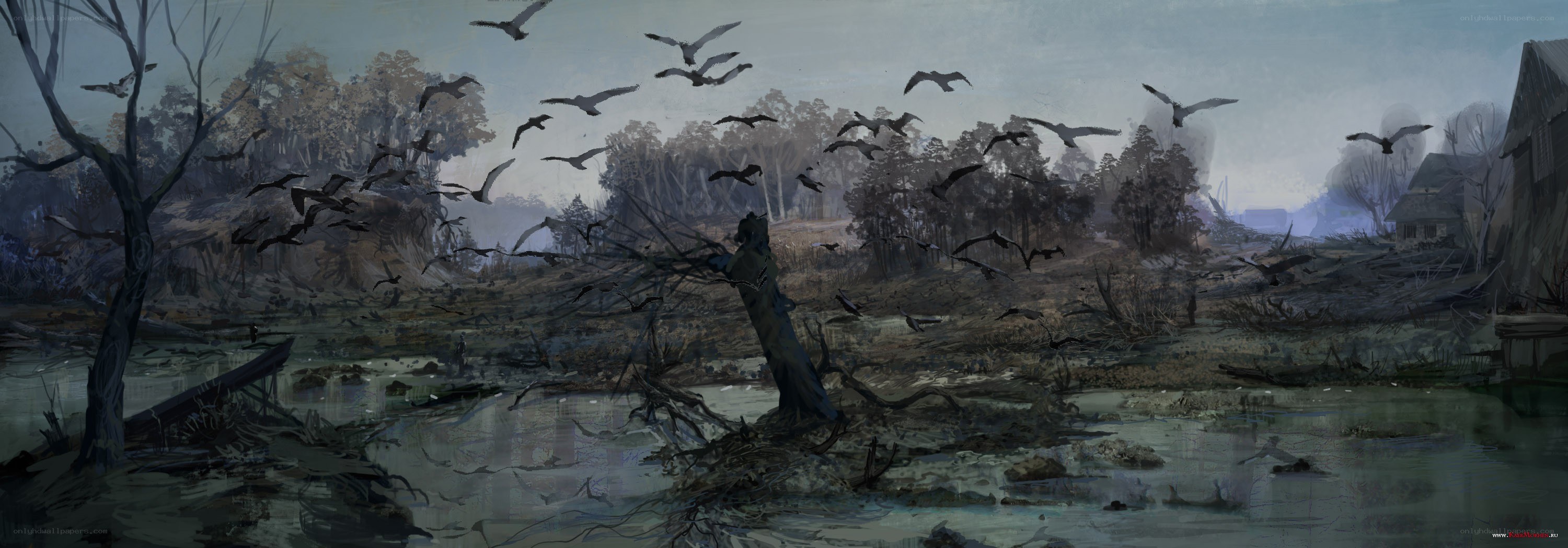 Desolate swamp with flying birds