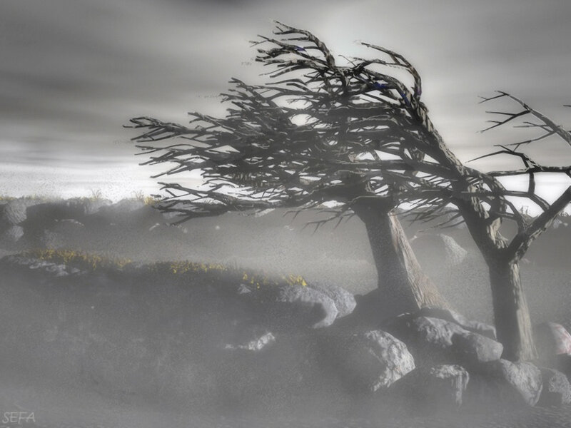 Desolate tree in fog